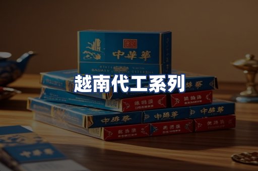 越南代工系列